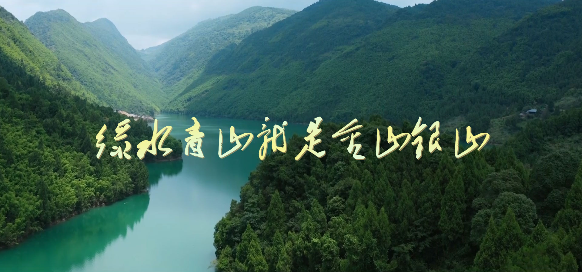 色情论坛