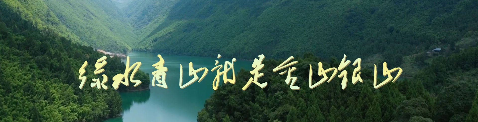 色情论坛